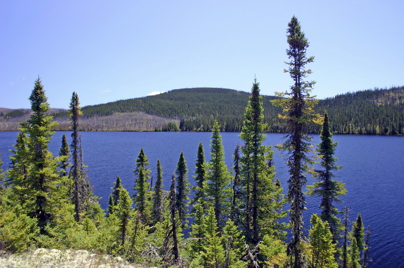 Lac_pinede_1176.jpg
