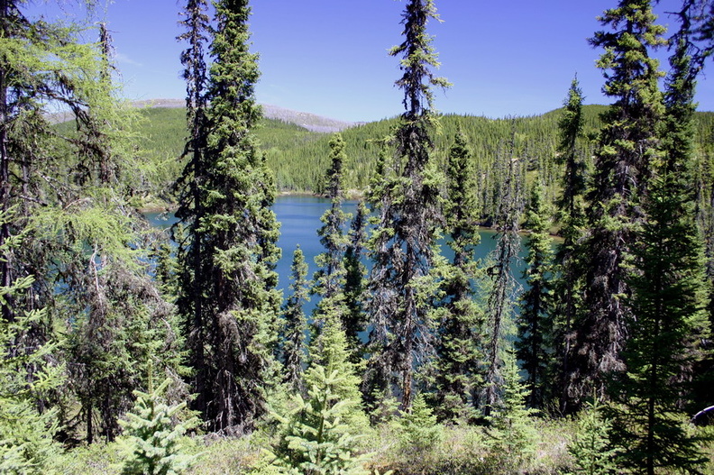 Lac_pinede_1184.jpg