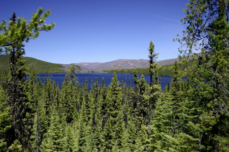 Lac_pinede_1191.jpg