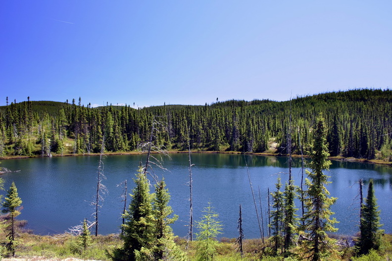 Lac_pinede_1194.jpg