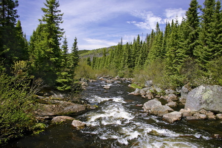 Ruisseau Etang Malbaie 1231
