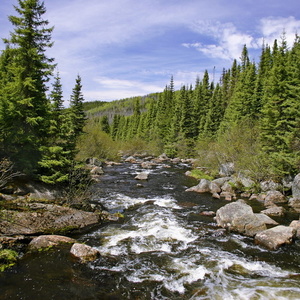 Ruisseau Etang Malbaie 1231
