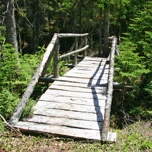 Pont bois rond Carcan 1117