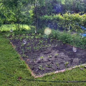 Jardin 11 juin 2006 HDR