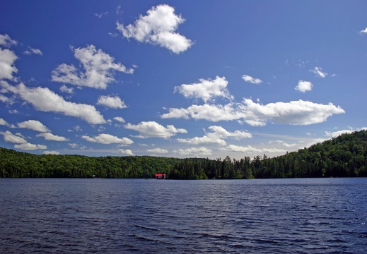 Réunions de famille au lac Venimeux