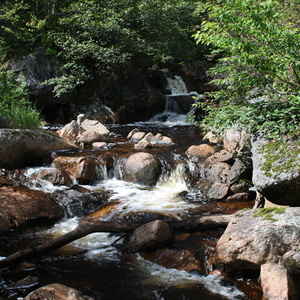Ruisseau montée Scotora