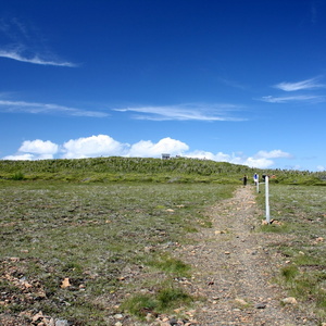Plateau mont Albert