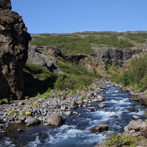 Rivière Bas Glymur