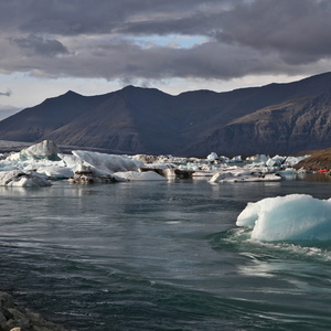 Glacier à la dérive vers la mer