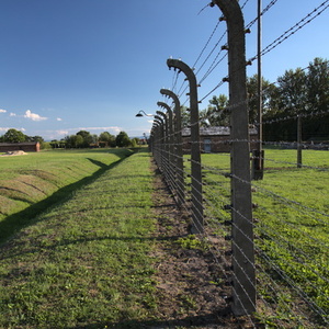 Clôture électrifiée Birkenau