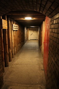 Tunnel d'entrée